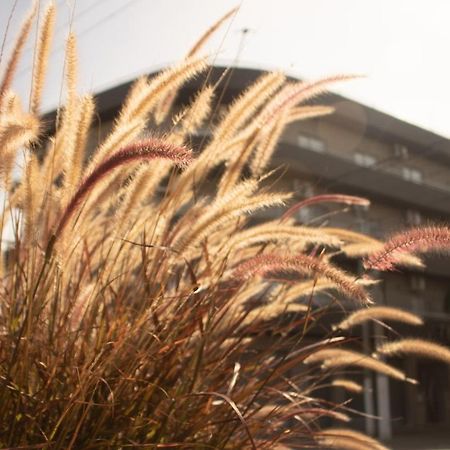 필라르 Rondpoint Pilar 아파트 외부 사진